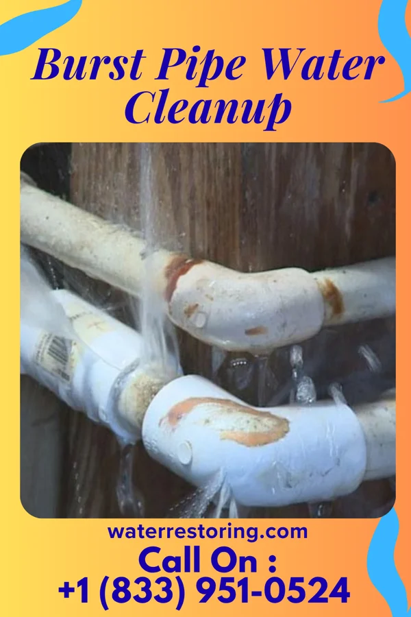 Burst Pipe Water Cleanup in Bolivar, MO
