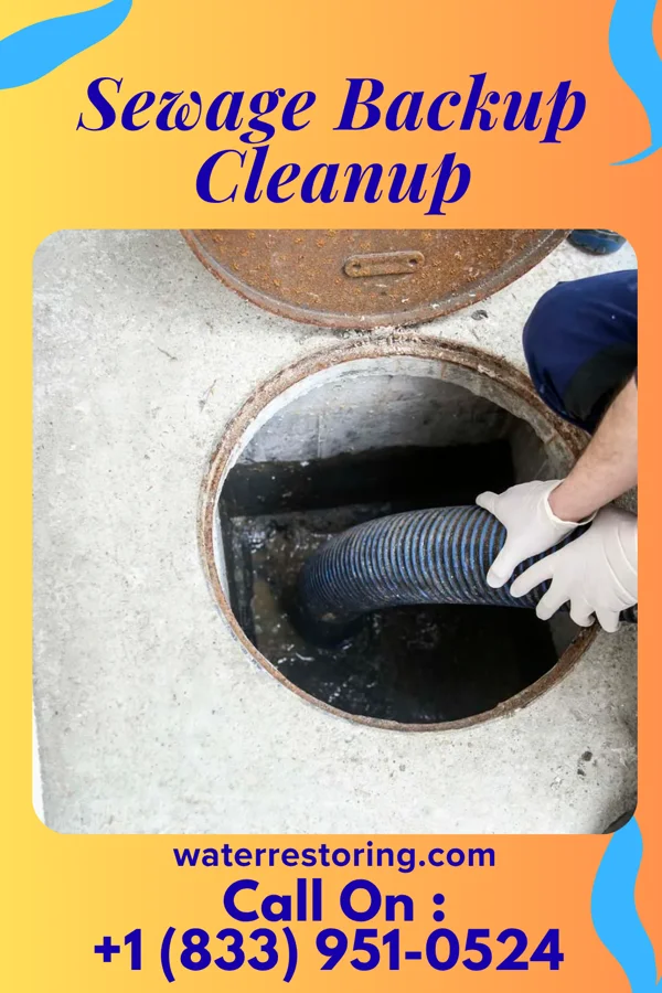 Sewage Backup Cleanup in Bolivar, MO